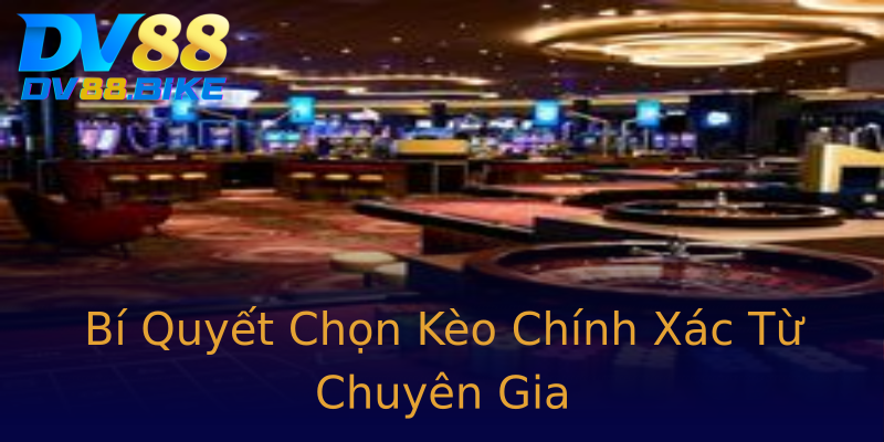 Bí Quyết Chọn Kèo Chính Xác Từ Chuyên Gia Bí Quyết Chọn Kèo Chính Xác Từ Chuyên Gia