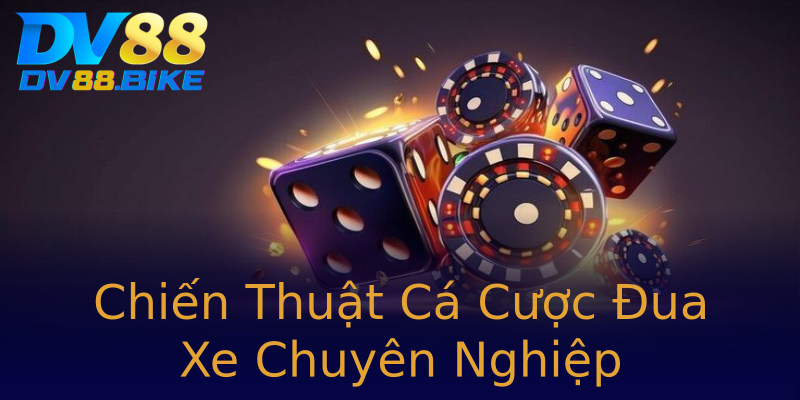 Chiến Thuật Cá Cược Đua Xe Chuyên Nghiệp Chiến Thuật Cá Cược Đua Xe Chuyên Nghiệp