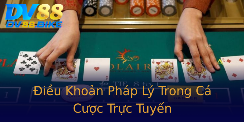 Điều Khoản Pháp Lý Trong Cá Cược Trực Tuyến Điều Khoản Pháp Lý Trong Cá Cược Trực Tuyến