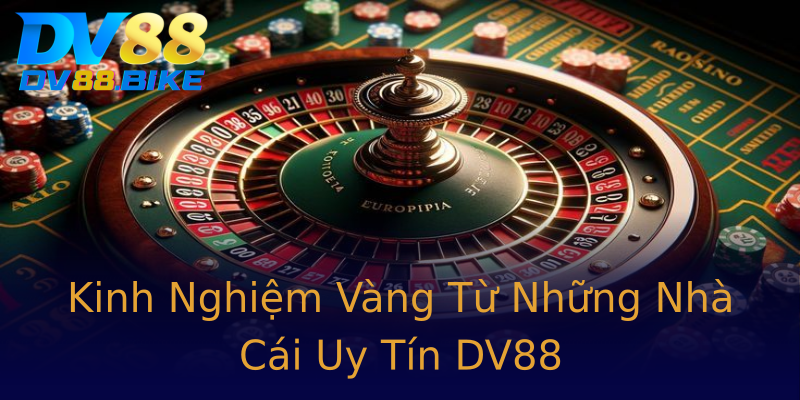 Kinh Nghiệm Vàng Từ Những Nhà Cái Uy Tín DV88 Kinh Nghiệm Vàng Từ Những Nhà Cái Uy Tín DV88