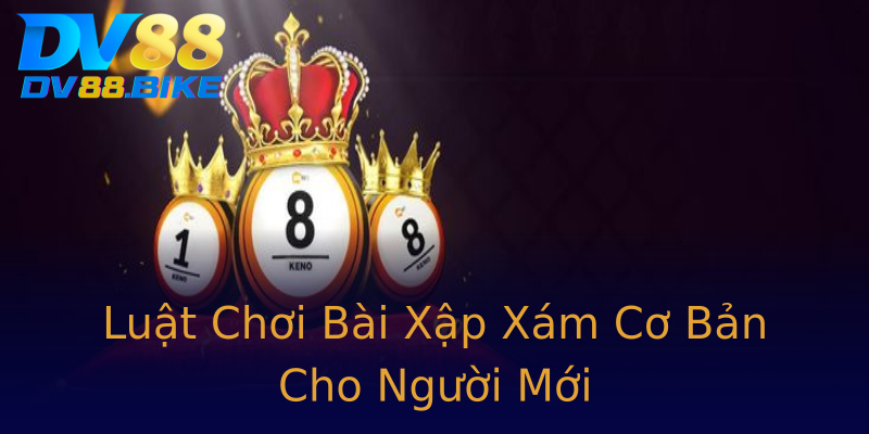 Luật Chơi Bài Xập Xám Cơ Bản Cho Người Mới Luật Chơi Bài Xập Xám Cơ Bản Cho Người Mới