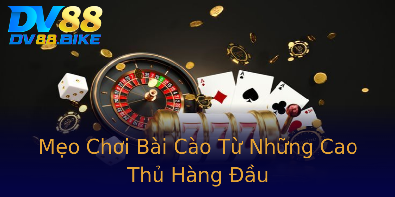 Mẹo Chơi Bài Cào Từ Những Cao Thủ Hàng Đầu Mẹo Chơi Bài Cào Từ Những Cao Thủ Hàng Đầu