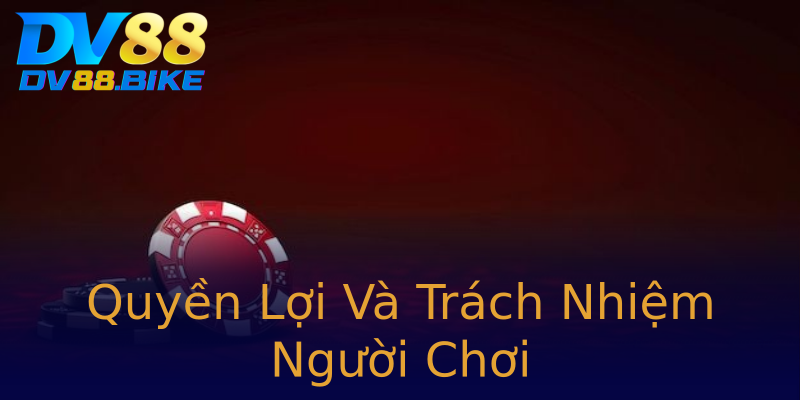 Quyền Lợi Và Trách Nhiệm Người Chơi Quyền Lợi Và Trách Nhiệm Người Chơi