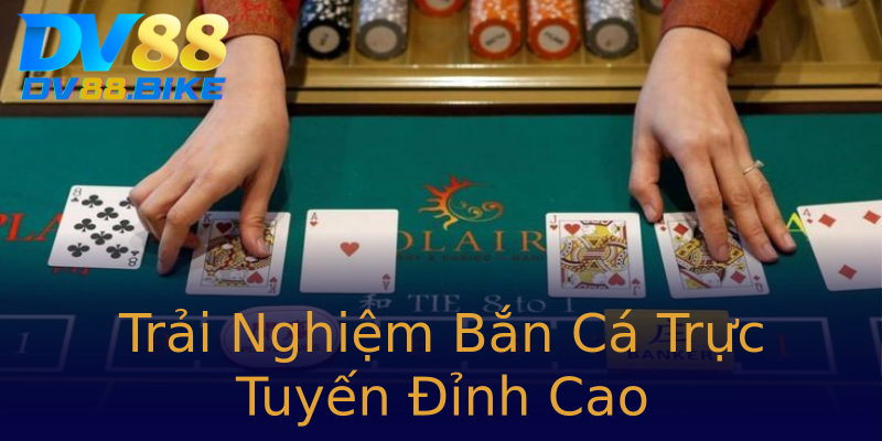 Trải Nghiệm Bắn Cá Trực Tuyến Đỉnh Cao Trải Nghiệm Bắn Cá Trực Tuyến Đỉnh Cao